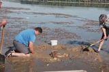 Europe’s rivers are shrinking so fast they’re exposing mammoths and wartime wrecks