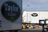Taylor Farms recalls jalapeño-linked prepared foods as CDC/FDA investigate salmonella outbreak tied to Sinaloa supplier